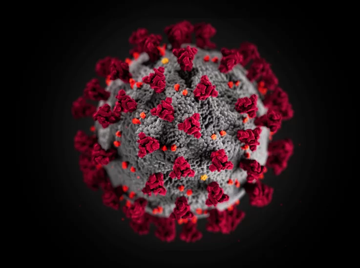 Master risks during the COVID-19 crisis